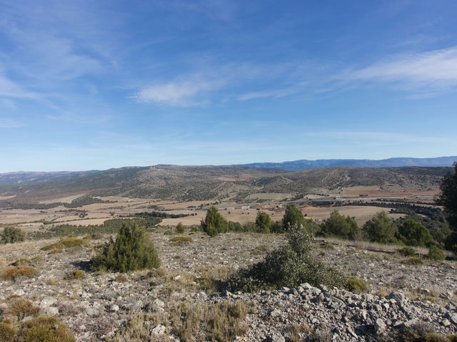 Vistas