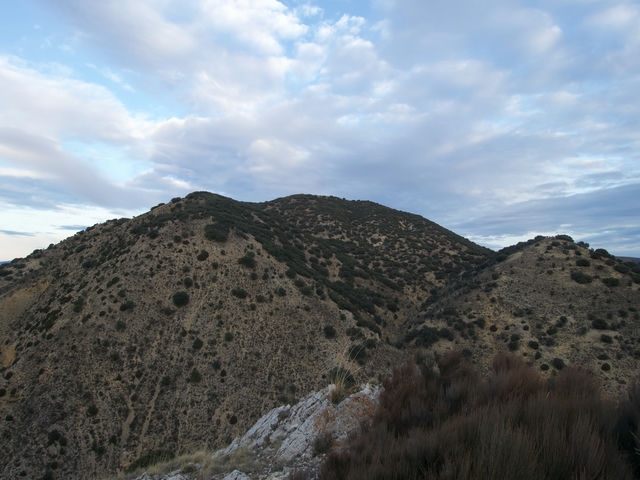 Vistas