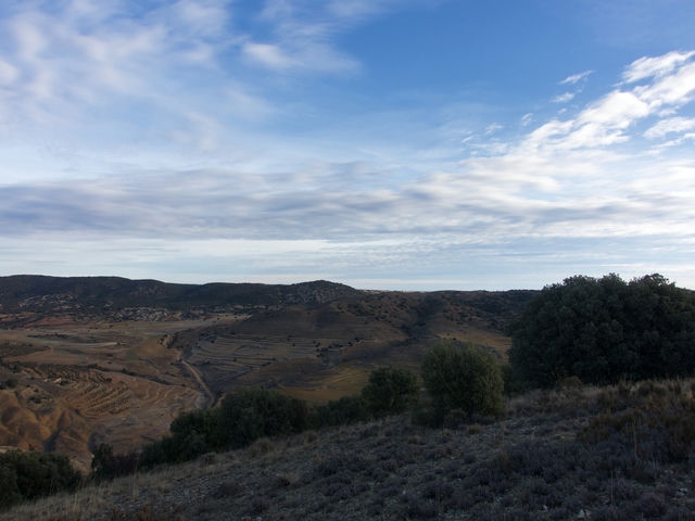 Vistas