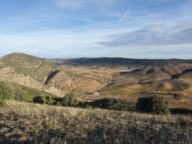 Vistas
