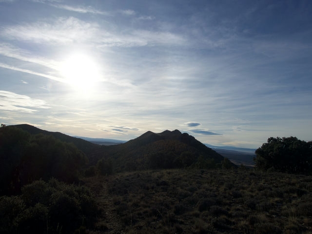 Vistas