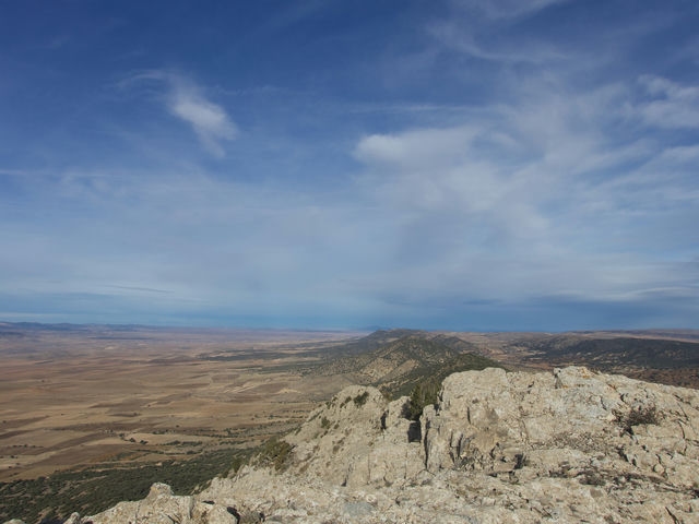Cima