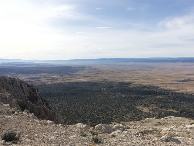 Vistas