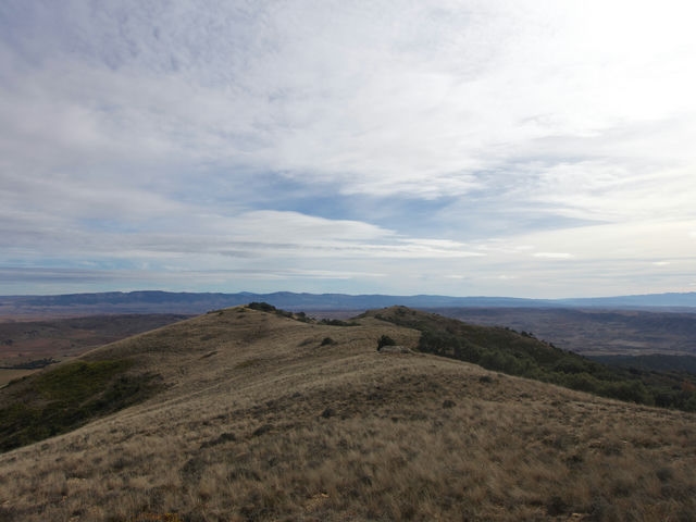 Vistas