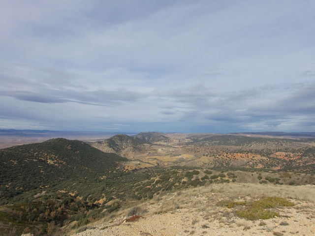 Vistas