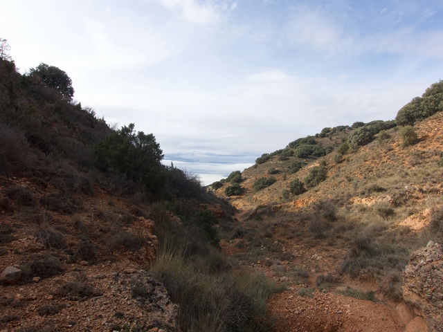 Barranco