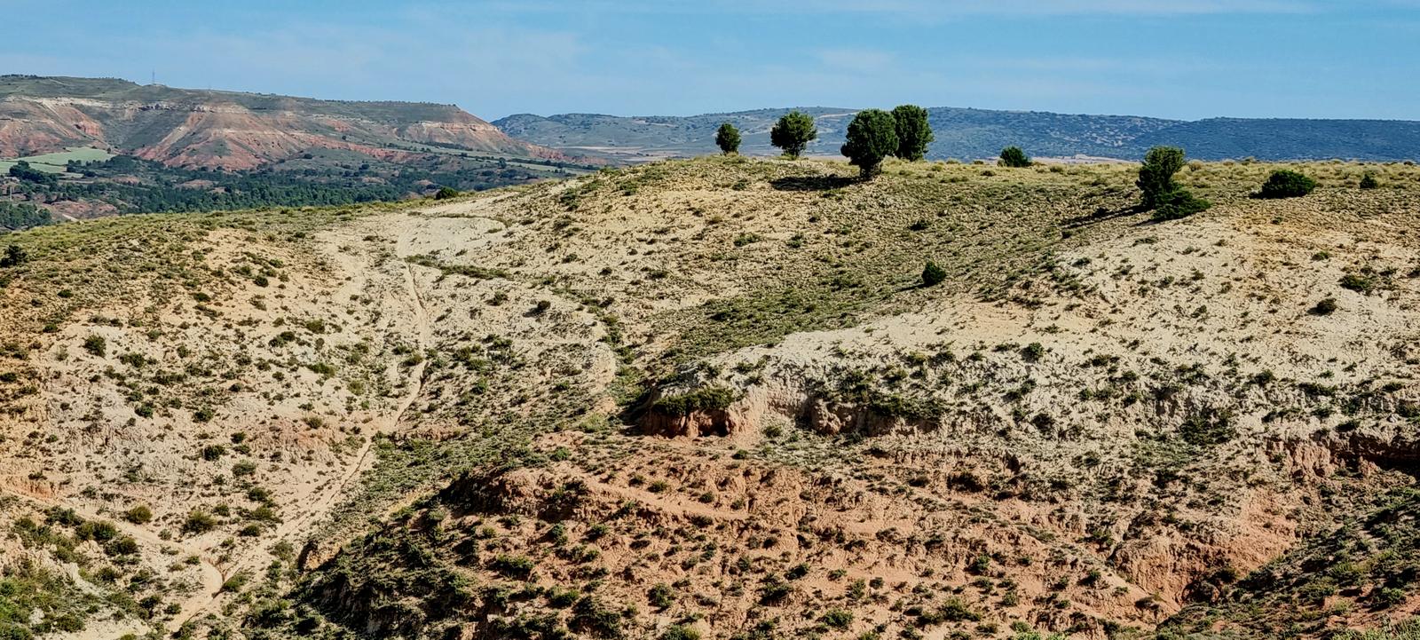 Herradura