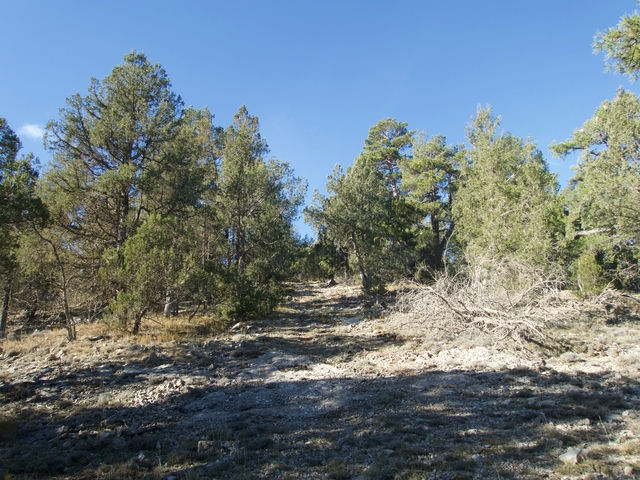 Camino de las Umbrías