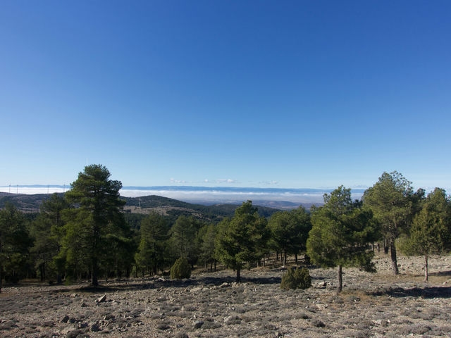 Vistas