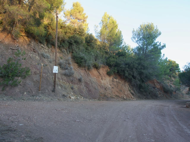 Cruce