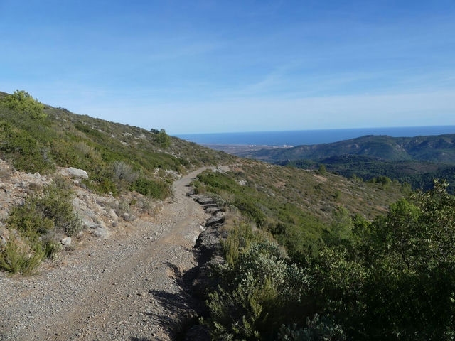 Pista