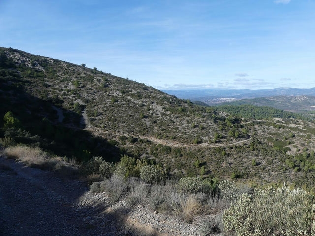 Pista