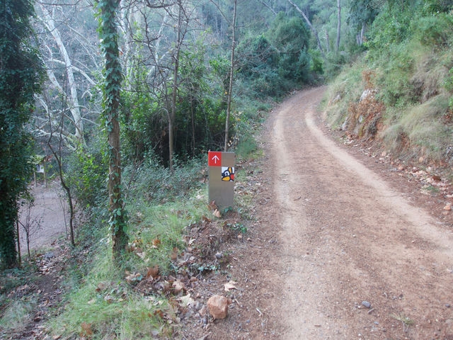 Camino