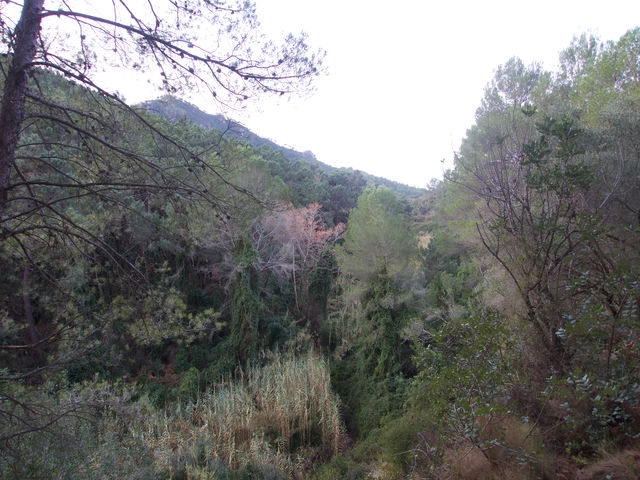 Barranco