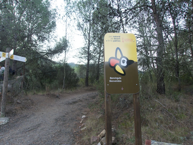 Cruce