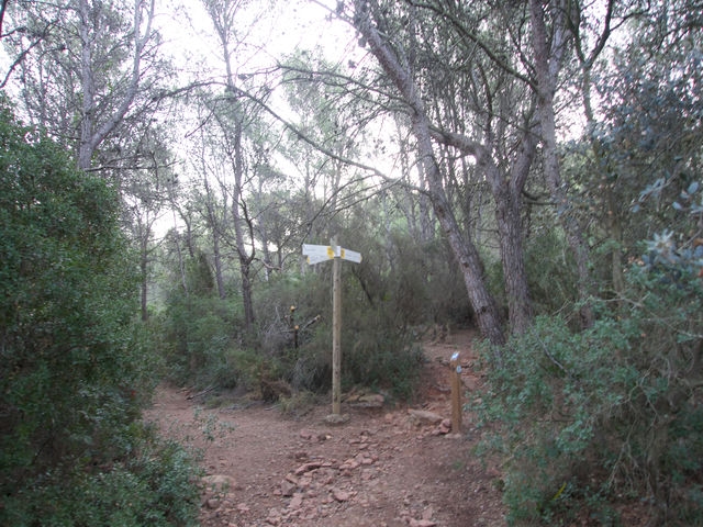 Cruce