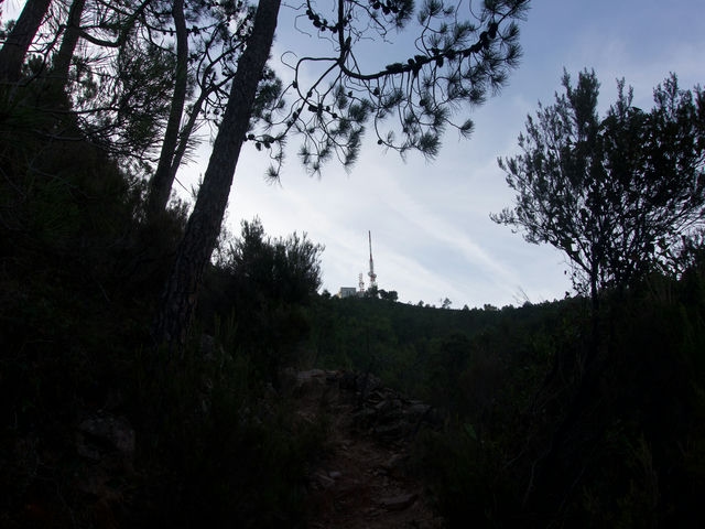 Senda