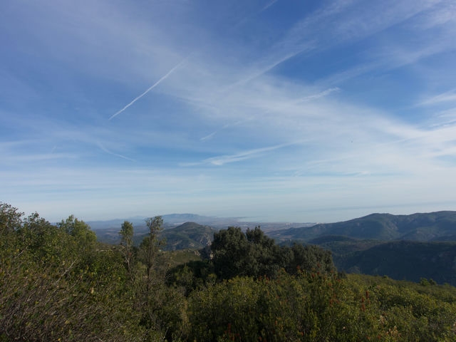 Vistas