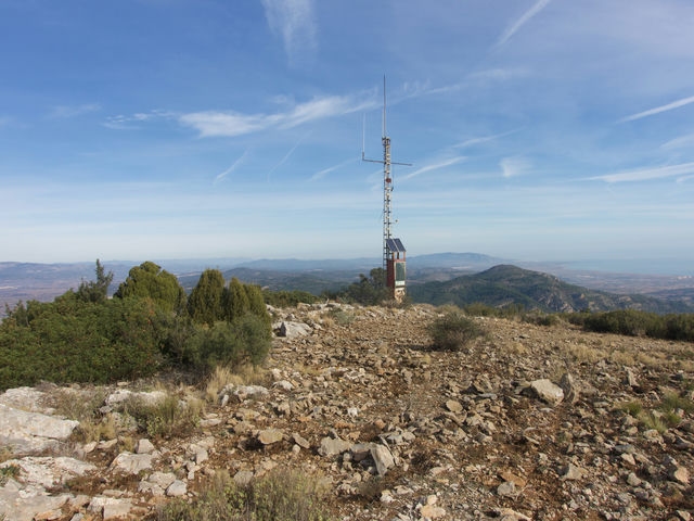 Cima