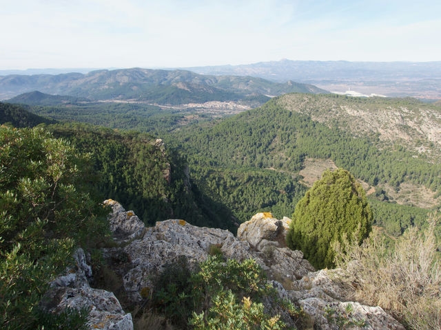 Cima