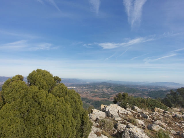 Vistas