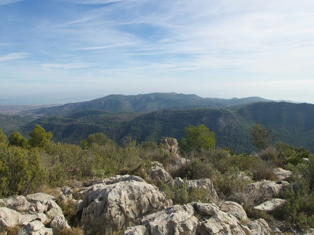 Mirador