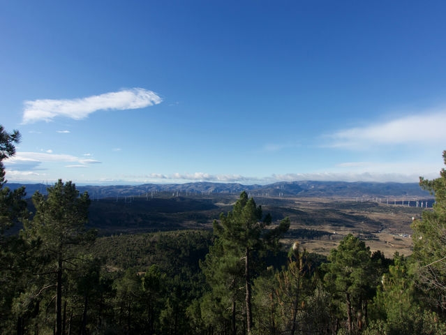 Vistas