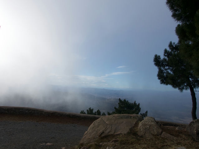 Vistas