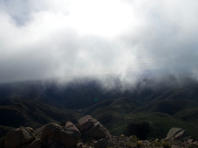 Vistas