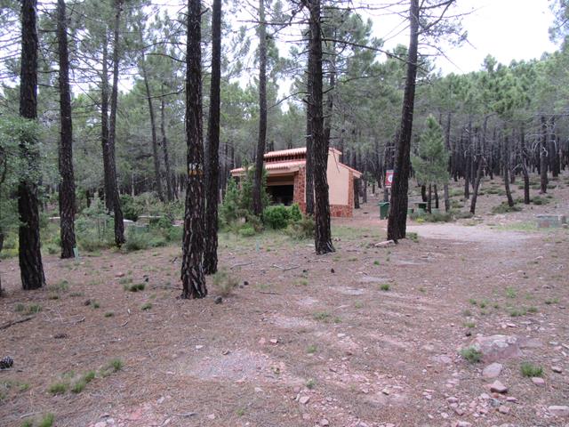 Area Recreativa