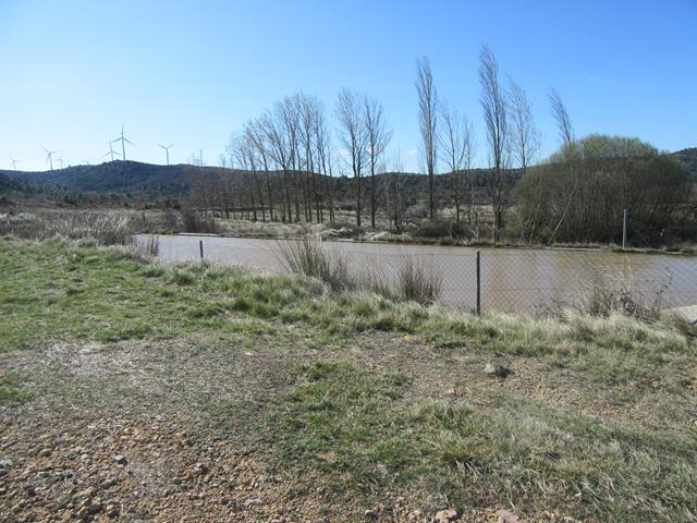 Balsa
