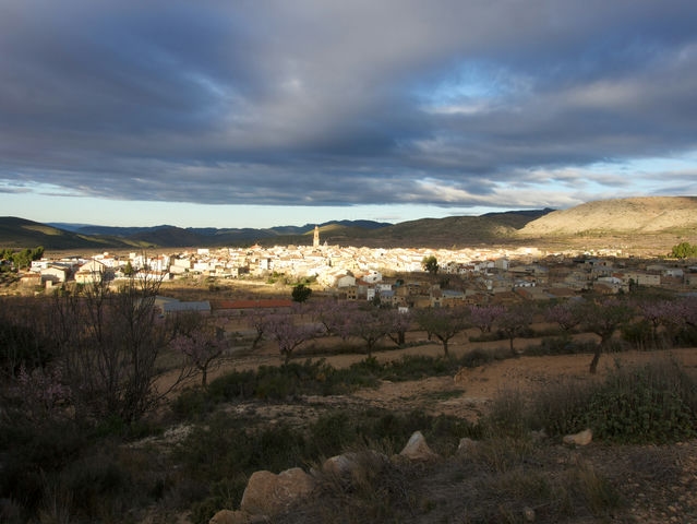 Vistas