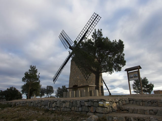Molino