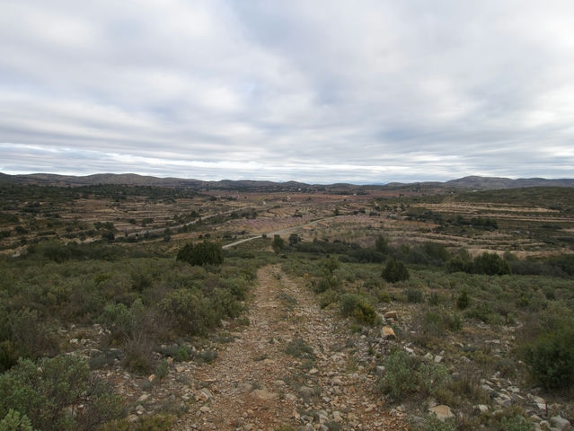 Camino
