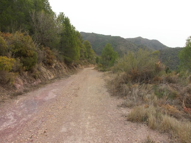 Camino de Cantalares