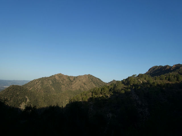 Vistas