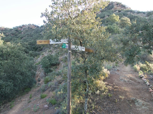Cogemos la Senda de la Derecha