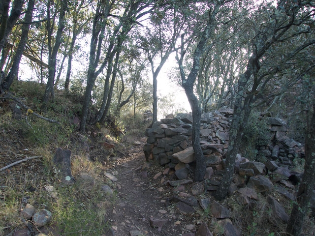 Collado