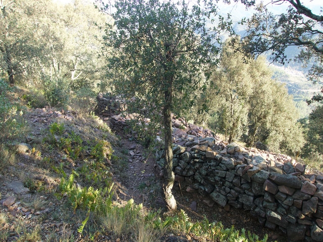 Trincheras