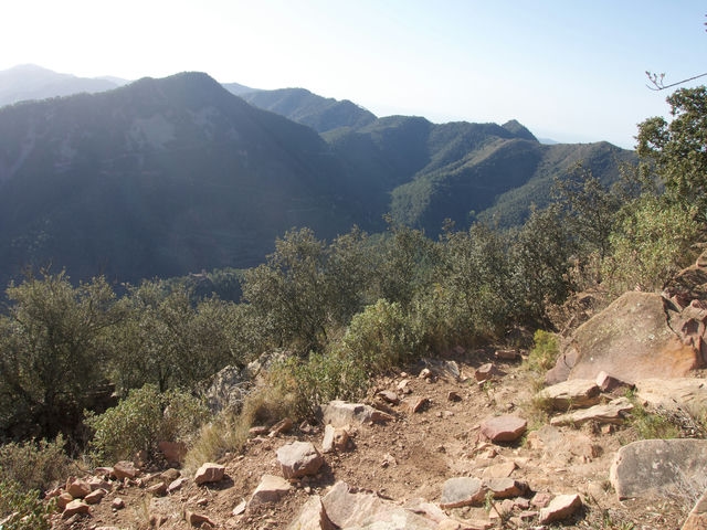 Vistas