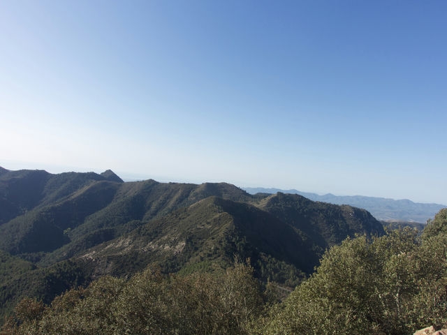 Vistas