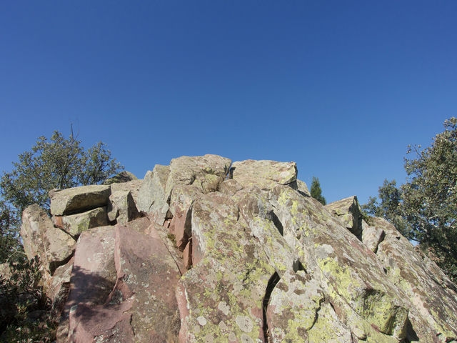 Cima