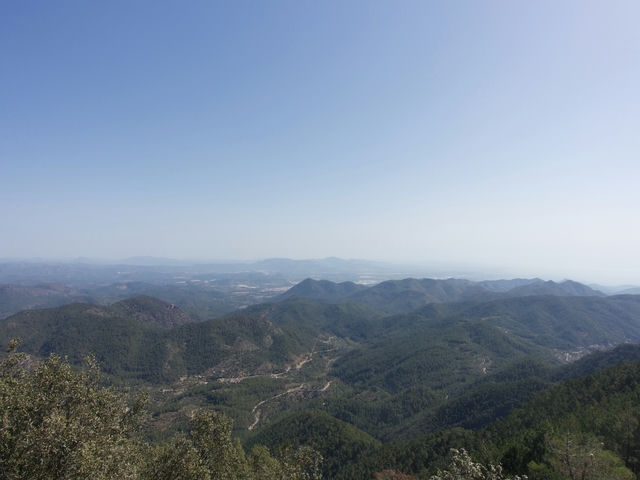 Vistas