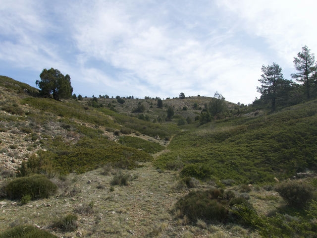 Barranco