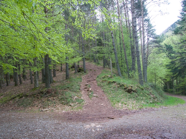 Cruzamos la Pista