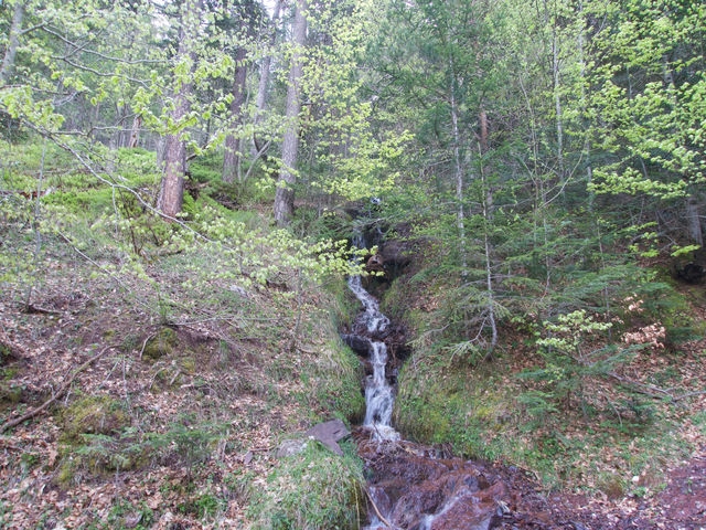 Cascada