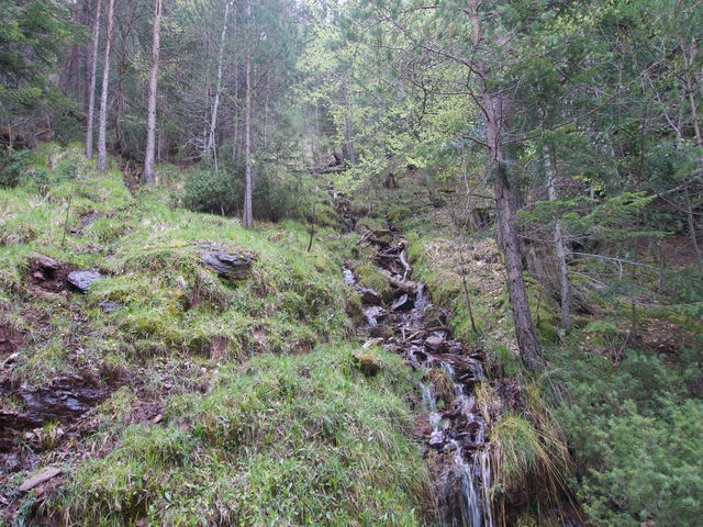 Cascada