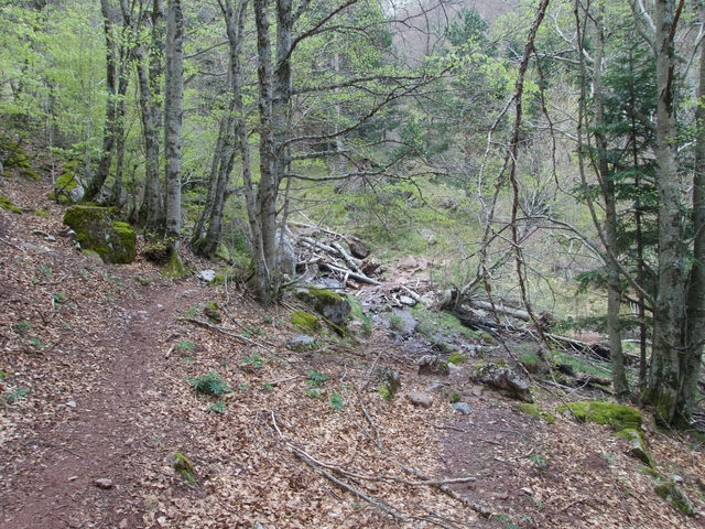 Barranco