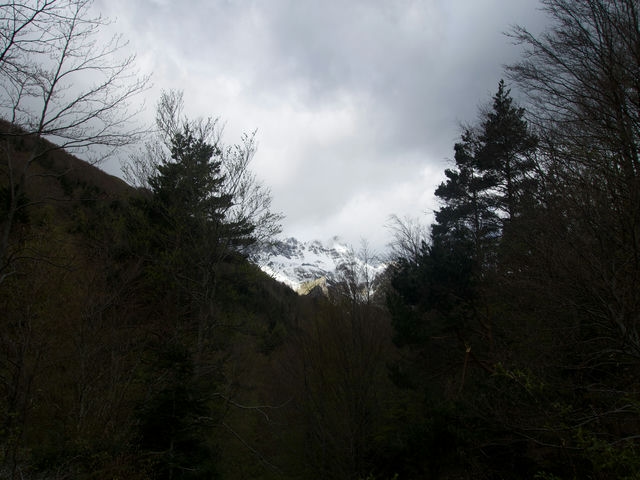 Vistas