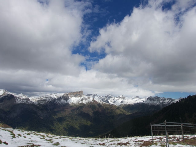 Vistas